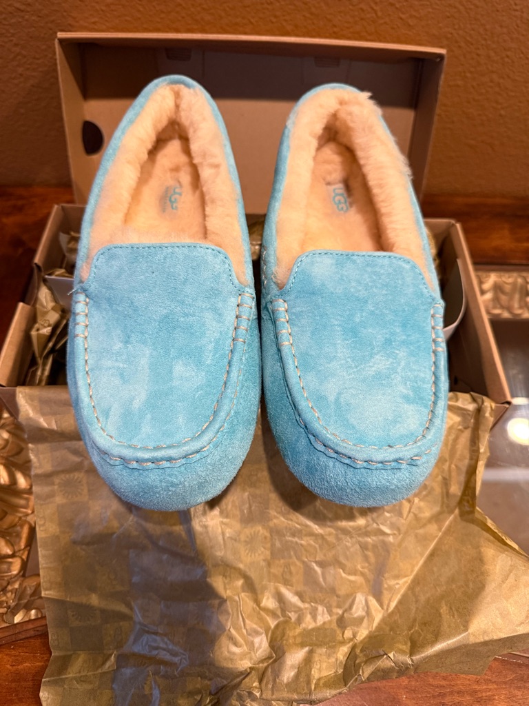 Ugg Blue And Cream Shearling Lined Slippers